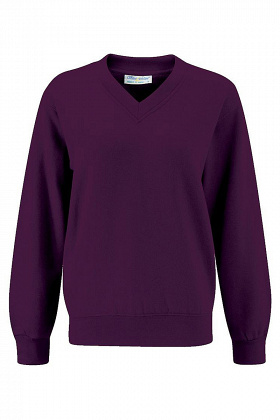 Banner Select V-Neck Sweatshirt - Purple